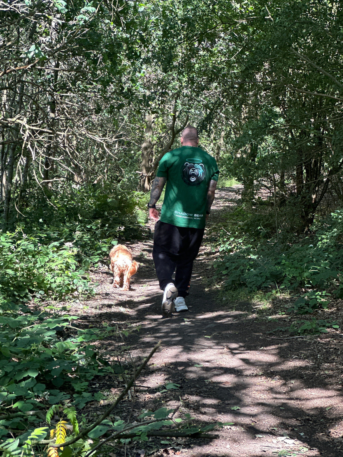 Why We Walk